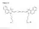 Fig. 08 - Optically fluorescent nanoparticles