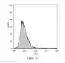 Fig. 06 - Amphiphilic block copolymers and nano particles comprising the same
