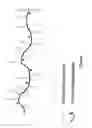 Fig. 03 - Ancient defense polymer