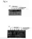 Fig. 05 - Induction of differentiation of stem cells, and control of differentiation potency of stem cells