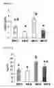 Fig. 02 - Nutritional formula for optimal gut barrier function