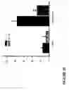 Fig. 31 - Use of compounds that bind soluble endoglin and SFLT-1 for the treatment of pregnancy related hypertensive disorders