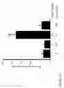 Fig. 40 - Use of compounds that bind soluble endoglin and SFLT-1 for the treatment of pregnancy related hypertensive disorders