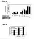 Fig. 02 - Composition and method for the treatment of cancer and other physiologic conditins based on modulation of the ppar-gamma pathway and her-kinase axis