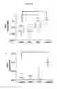 Fig. 04 - Compositions and methods for detecting and treating cancer