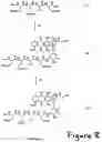 Fig. 12 - Caspase Activated Prodrugs Therapy