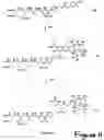 Fig. 15 - Caspase Activated Prodrugs Therapy