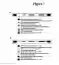 Fig. 02 - Targeted biocides