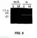 Fig. 06 - Attaching substances to microorganisms