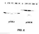Fig. 07 - Attaching substances to microorganisms