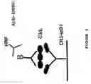 Fig. 04 - Multimeric complexes of antigens and adjuvants