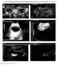 Fig. 03 - Synergistic phytoceutical compositions