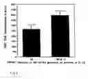 Fig. 09 - Helicobacter proteins and vaccines