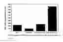 Fig. 10 - Helicobacter proteins and vaccines