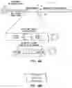 Fig. 04 - Aneurysm embolization material and device