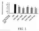 Fig. 02 - Enteropathy ameliorating composition