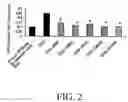 Fig. 03 - Enteropathy ameliorating composition