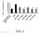 Fig. 04 - Enteropathy ameliorating composition