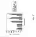 Fig. 07 - Compositions and methods for improving integrity of compromised body passageways and cavities