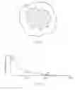 Fig. 06 - Methods and compositions for topical wound treatment