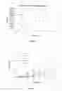 Fig. 02 - Double-layered absorbable solid compositions for the topical treatment of oral mucosal disorders