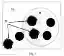 Fig. 02 - Multiphase active ingredient formulation