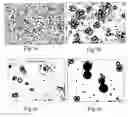 Fig. 04 - Multiphase active ingredient formulation