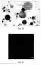 Fig. 07 - Multiphase active ingredient formulation