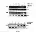 Fig. 07 - Compositions and methods for cancer treatment