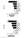 Fig. 08 - Compositions and methods for cancer treatment