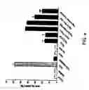 Fig. 09 - Compositions and methods for cancer treatment