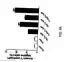 Fig. 14 - Compositions and methods for cancer treatment