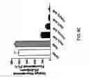 Fig. 16 - Compositions and methods for cancer treatment