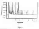 Fig. 02 - Chinese herbal composition for treating diseases