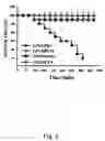 Fig. 07 - Chinese herbal composition for treating diseases