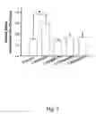 Fig. 08 - Chinese herbal composition for treating diseases