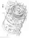 Fig. 08 - Apparatus for forming a center-filled confectionery and method