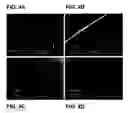 Fig. 05 - Lysozyme-chitosan films