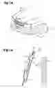 Fig. 02 - Ornament
