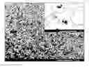Fig. 01 - Superhydrophilic coatings