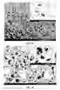 Fig. 02 - Superhydrophilic coatings