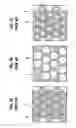 Fig. 02 - Anisotropic porous material