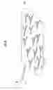 Fig. 05 - Anisotropic porous material
