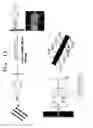 Fig. 02 - Polymer electrolyte membrane and fuel cell including the polymer electrolyte membrane