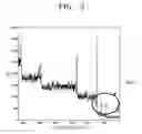Fig. 05 - Polymer electrolyte membrane and fuel cell including the polymer electrolyte membrane