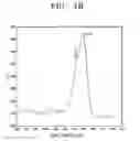 Fig. 07 - Polymer electrolyte membrane and fuel cell including the polymer electrolyte membrane