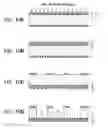 Fig. 12 - MASK, MASK BLANK, AND METHODS OF PRODUCING THESE