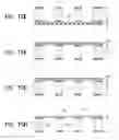 Fig. 13 - MASK, MASK BLANK, AND METHODS OF PRODUCING THESE