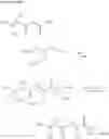 Fig. 24 - Lithographic printing plate precursor comprising bi-functional compounds