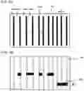 Fig. 04 - Method of manufacturing semiconductor device